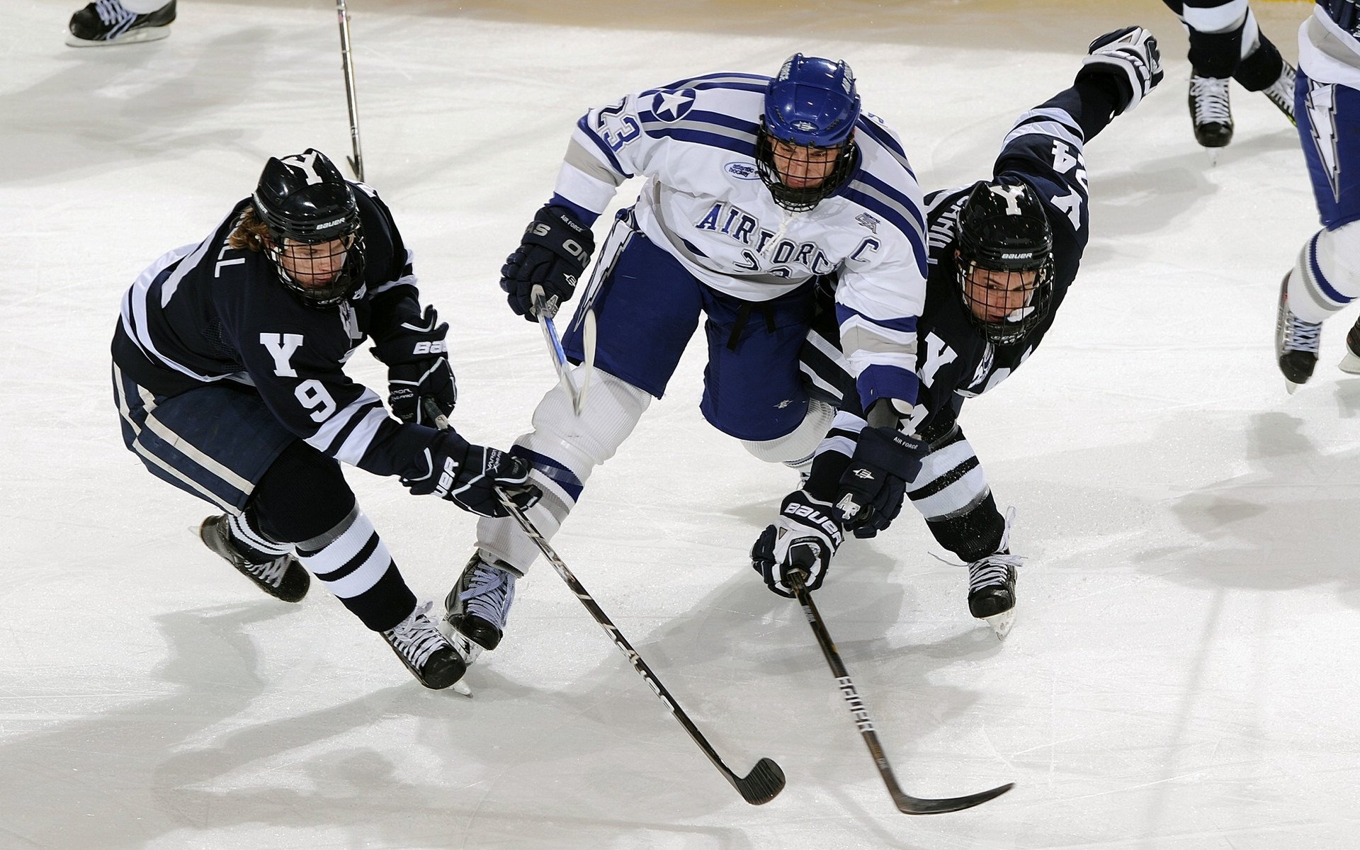 赛季最佳进球排行榜更新，精彩镜头不断，nba赛季最佳进球